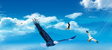 碳排放目標(biāo)
